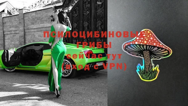 ECSTASY Балахна