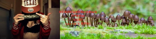 дистиллят марихуана Баксан