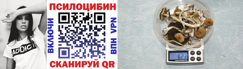 Псилоцибиновые грибы Cubensis  Каспийск 